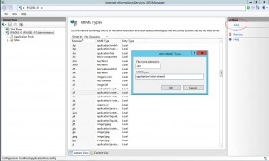ipa-mime-type-iis