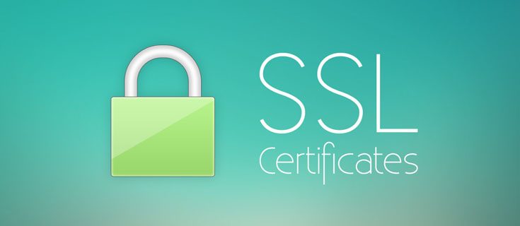 How to create a self-signed TLS SSL certificate for Apache or NGINX to accept HTTPS requests on port 443