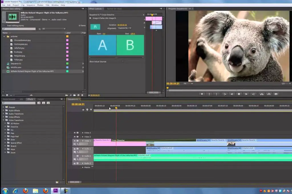 Advantages of Using Video Editing Software for Marketing
